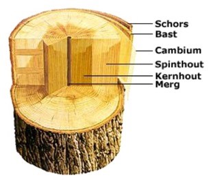 hout indeling