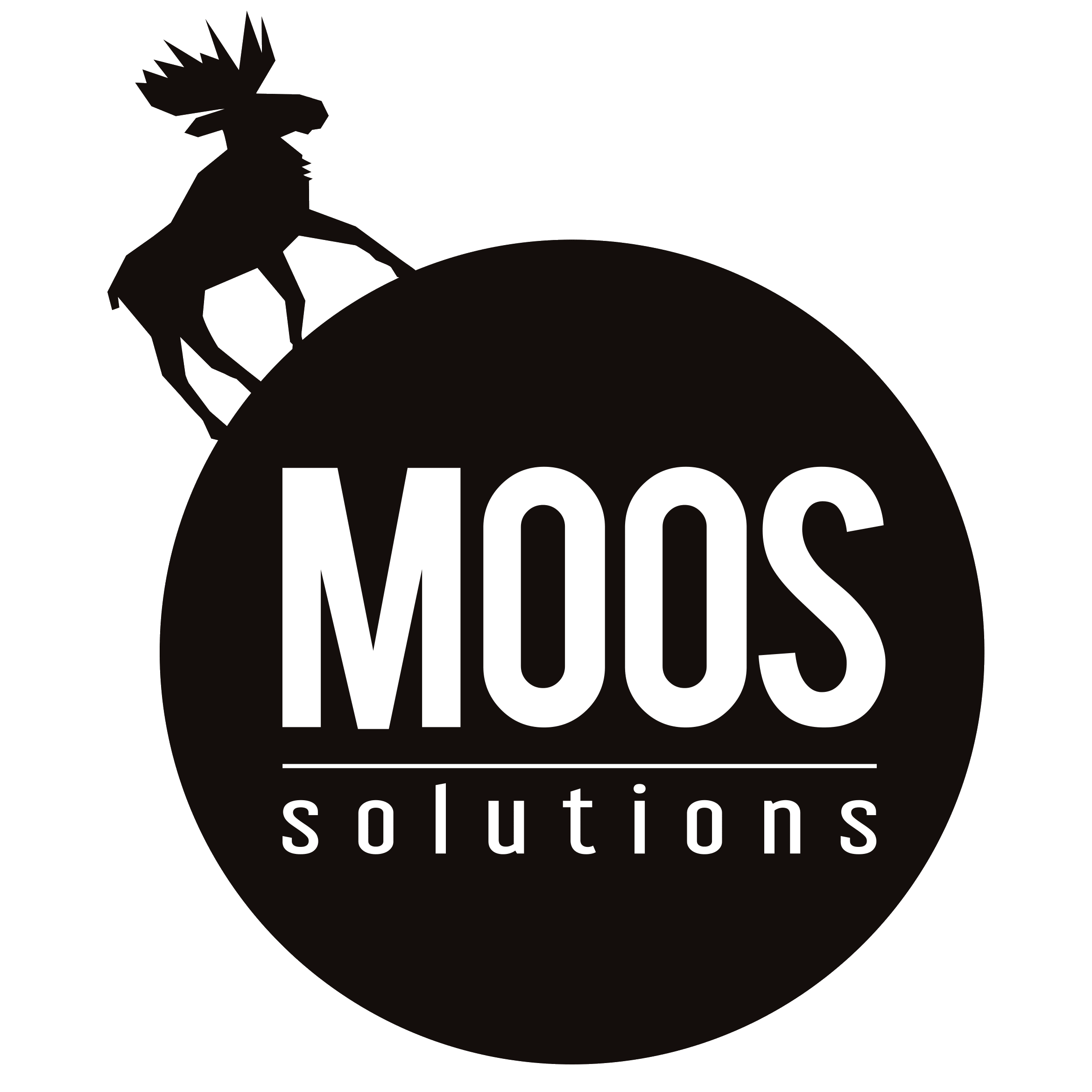 webdesign Moos.Solutions