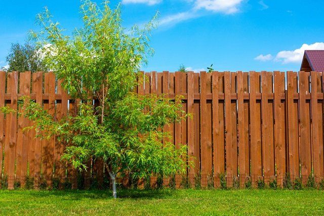 Aannemer houten schutting