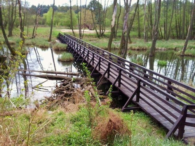 houten loopbrug